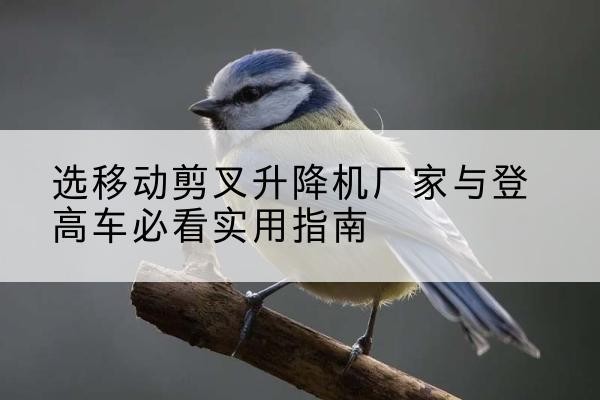 秦淮电动升降机厂家-选移动剪叉升降机厂家与登高车必看实用指南