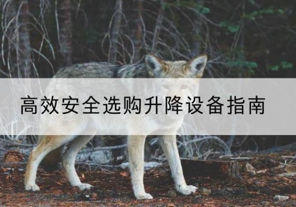 秦淮升降货梯厂家推荐-*安全选购升降设备指南
