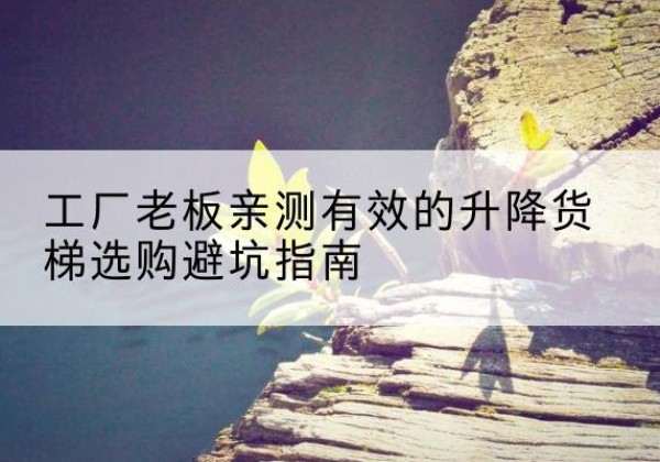 秦淮升降货梯怎么选-工厂老板亲测有效的升降货梯选购避坑指南